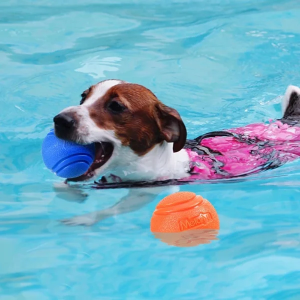 Dog Toy Storage: Bouncy Rubber Ball for Dog Training - Image 9