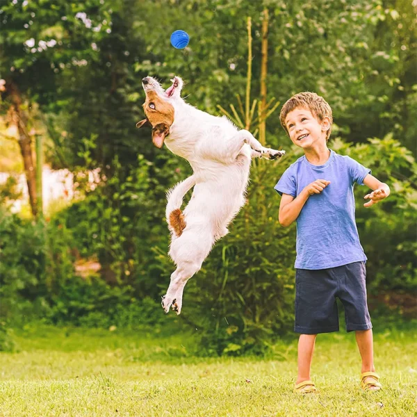 Dog Toy Storage: Bouncy Rubber Ball for Dog Training - Image 7