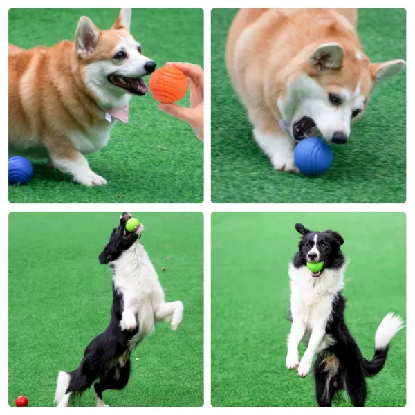 Dog Toy Storage: Bouncy Rubber Ball for Dog Training - Image 4