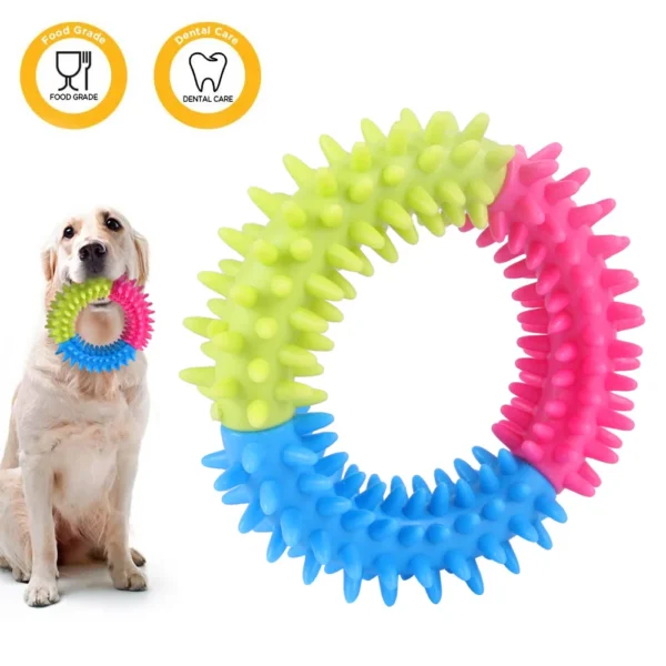 Dog Toy Storage: Interactive Training Flying Disc & Molar Cleaning