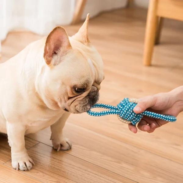 Dog Toy Storage: Interactive Cotton Rope Chew Ball for Dogs - Image 2