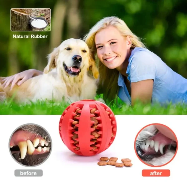 Dog Toy Storage: Interactive Rubber Ball Chewing Treat Feeder Toy - Image 2