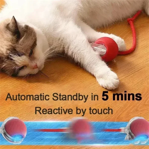 Dog Toys Electric Rolling Ball Interactive Rechargeable Pet Toy For Cats - Image 3
