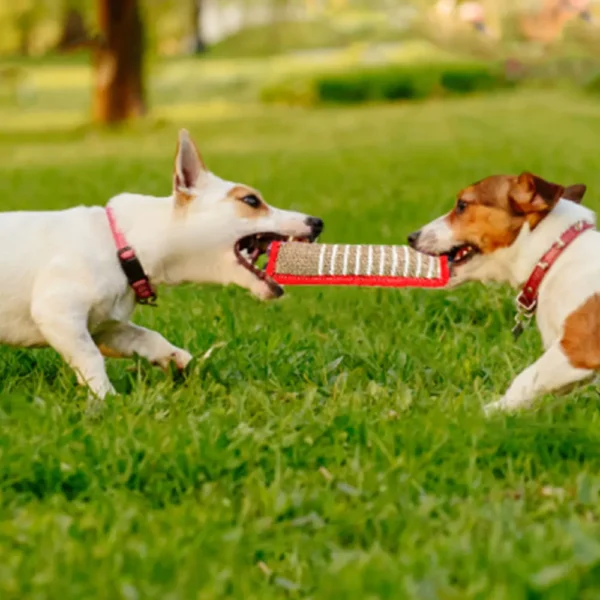 Dog Toy Storage: Jaoseko Bite Rods & Training Toys - Image 3