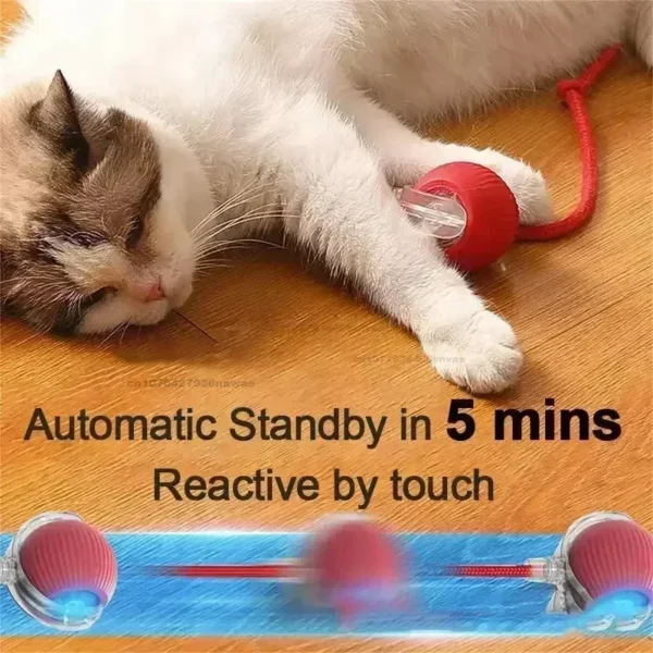 Dog Toy Storage: Interactive Rolling Ball Rechargeable Pet Training Toy - Image 3