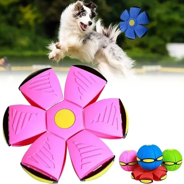 Dog Toy Storage: Interactive Flying Saucer Ball for Dog Training