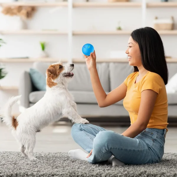 Dog Toy Storage: Electric Interactive LED Smart Ball for Dogs - Image 2